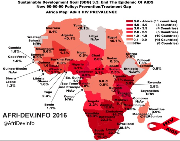 hiv-in-africa-2016_afridev-info.jpg
